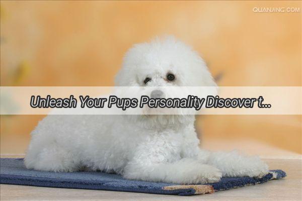 Unleash Your Pups Personality Discover the Trendy Eartag Tool for a TailWagging ID Revolution